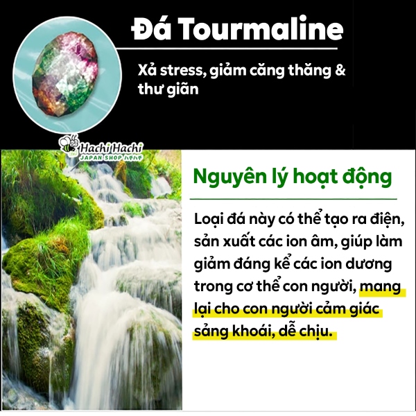 Mieng-chong-moi-chan-2-mieng-ngai-cuu-(6).jpg